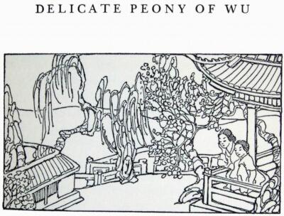 Delicate Peony of Wu